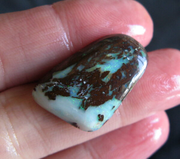 Boulder Opal Stone IMG_0902