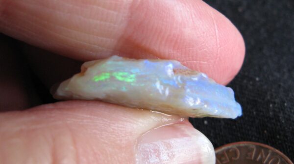Digger's Gully Opal Gem Blue & Green .115oz IMG_8828-9