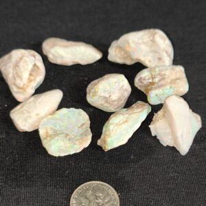 Coober Pedy Shell Pieces Some Great Colours 1.1oz IMG4227-9