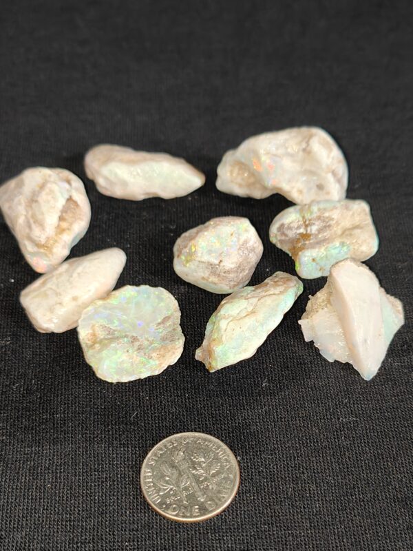 Coober Pedy Shell Pieces Some Great Colours 1.1oz IMG4227-9