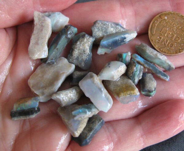 Mintubi Black Opal & Semi Black brilliant small stones $12.90/gram 15 grams IMG9803