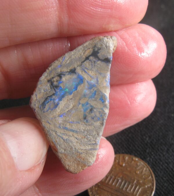 Lightning Ridge opal in sandstone nice blues .14oz IMG3096
