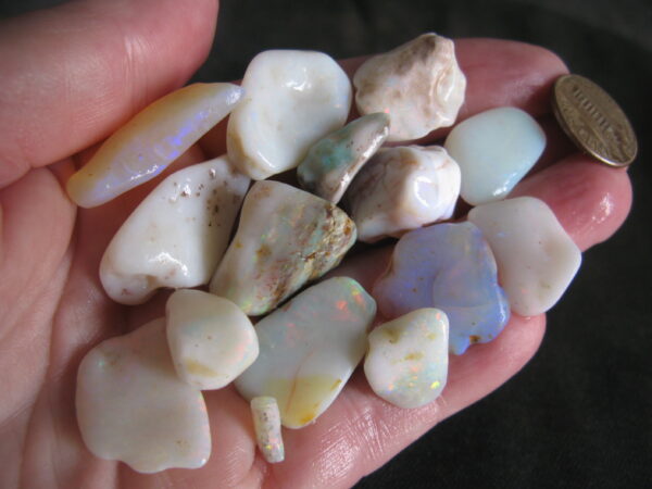 Tumbled Opals 14 stones 1.2oz IMG5527