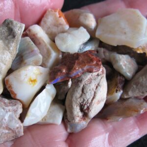 Mixed opal, 2 Shell pieces included 1.7oz IMG4233