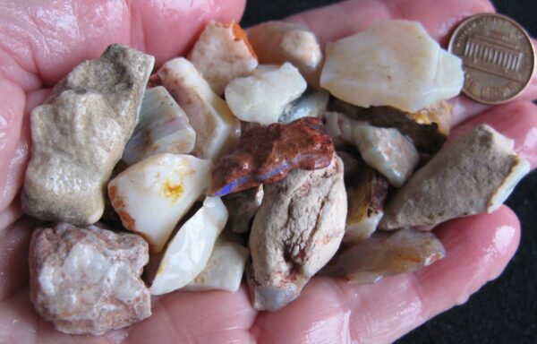 Mixed opal, 2 Shell pieces included 1.7oz IMG4233