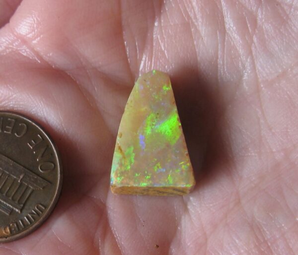 $110 IMG1114 - Boulder Reds & Golds Opal 17x11x 5mm 1.37g