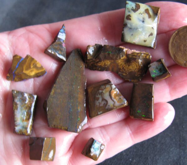 $55 discounted IMG5904 - Boulder Opal Slices (11) were $6 each (MW)