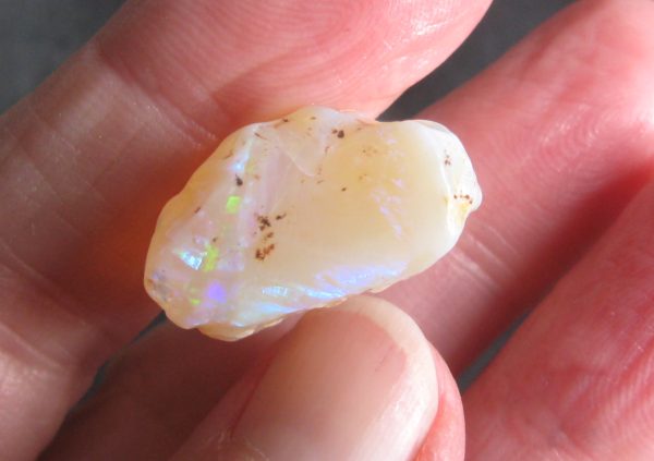 $500 IMG6569 - Lambina 22cts (KAW)