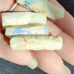 $1,600 IMG4811-21 - Belemnites x 4 Reds, Blues & Greens 26.41g
