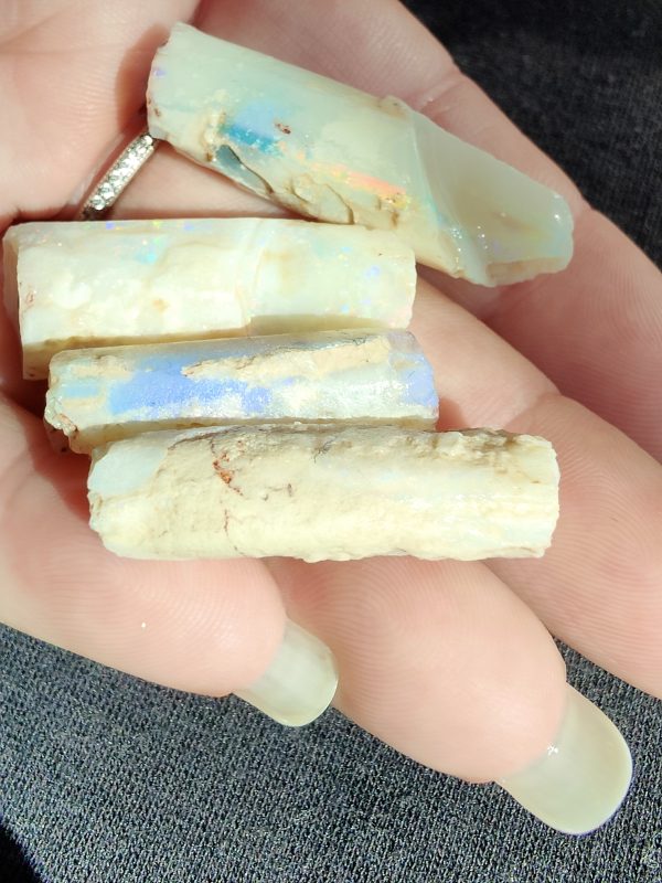 $1,600 IMG4811-21 - Belemnites x 4 Reds, Blues & Greens 26.41g