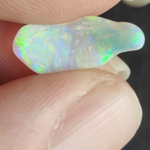 $164 IMG5358 - Super Gem Shell Piece will make a great pendant .328g