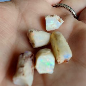 $200 IMG4459 - Opalised Squid Pieces - Belemnites 4g