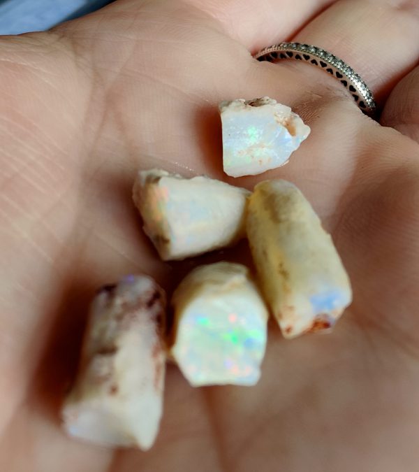 $200 IMG4459 - Opalised Squid Pieces - Belemnites 4g