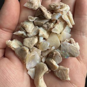 $75 IMG2663-2666 - Coober Pedy Chips 1oz