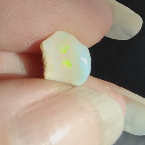 $98 IMG4839-43 - Snail Part "Euspira" Lovely Colours 3.88cts