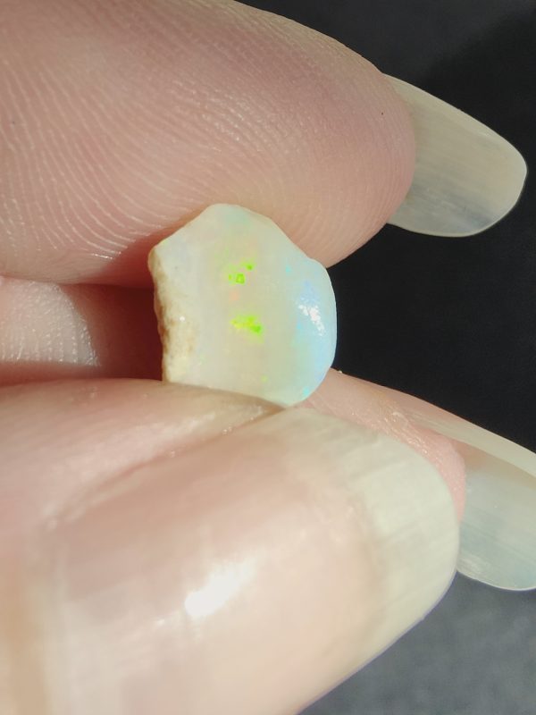 $98 IMG4839-43 - Snail Part "Euspira" Lovely Colours 3.88cts