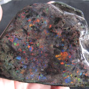 $1,350 IMG1893 - Rainbow Matrix Opal Brilliant broad flash Gems 14.8oz 2,294cts
