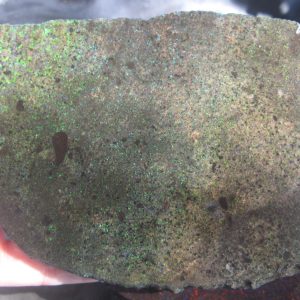 $195 wet IMG3629 - Rainbow Matrix