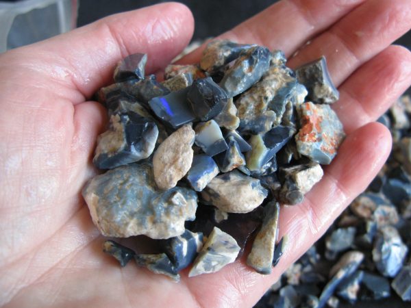 $198 IMG1327 - Lightning Ridge Black Chips & small / medium offcuts $6/oz 1kilo