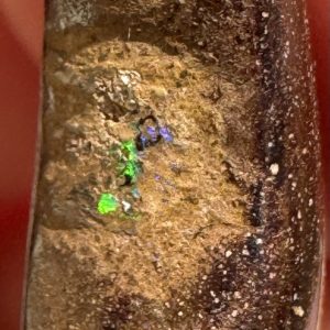 $9 IMG4491 - Qld Boulder opal /Drilled pendant 24 x 9 x 8mm 9.5cts