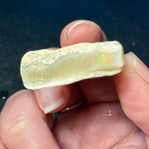 Mintubi Plate Red and Green Jelly 0.61oz 38x30x10mm
