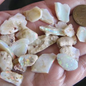 Coober Pedy Brilliant shell pieces $700/oz .5oz
