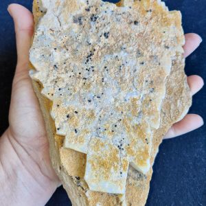 Mintubi Specimen Opal Potch on Sandstone .87kg