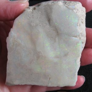 Mintubi on Sandstone Gem Brilliant Reds Golds and Greens Opal over most of the face “a real ripper” 2.5” x 2” x .5” 4.36oz